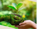 Prime Global Manufacturing Limited